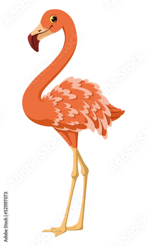Tropical bird pink flamingo vector cartoon illustration