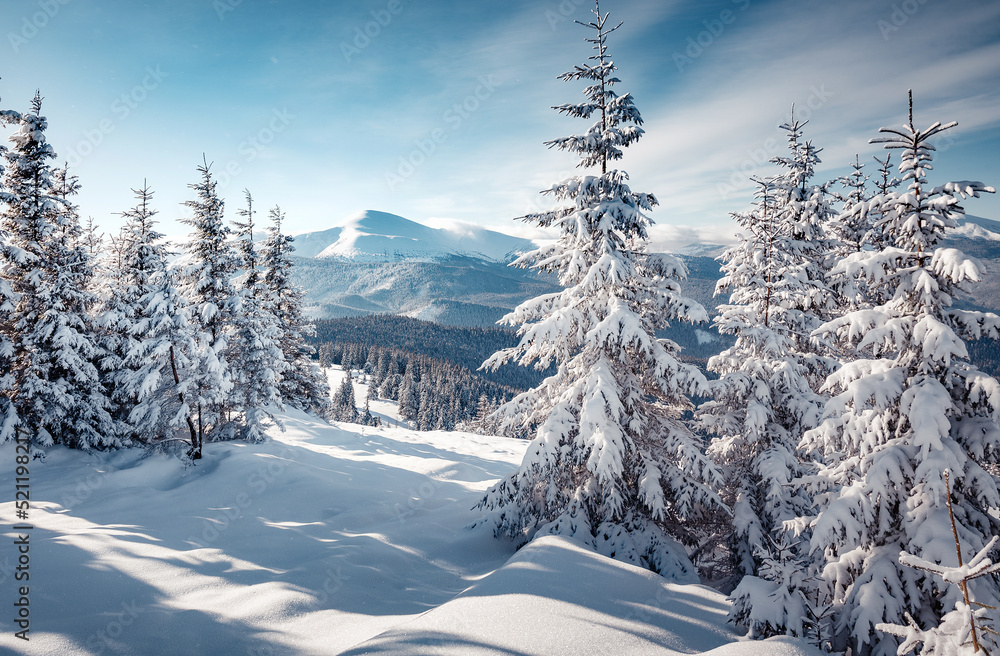 Wonderful Winter Landscape. Awesome Alpine Highlands in Sunny Day