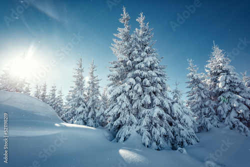 Wonderful Winter Landscape. Awesome Alpine Highlands in Sunny Day. Christmas holyday concept. Winter mountain forest. Snowy mountains and perfect blue sky. Amazing Nature background. postcard © jenyateua