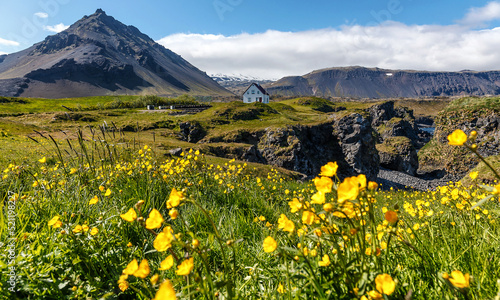 Fototapeta Naklejka Na Ścianę i Meble -  Panoramic view on Impressive Icelandic landscape. Alone  house in fishing village Arnarstapi in Iceland. Tipical Sunny Scenery with basalt rocks formation on coastline. Snaefellsnes peninsula, Iceland
