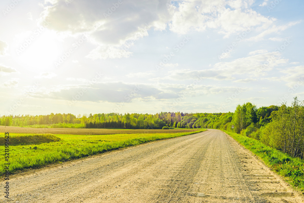 Empty Sandy country road near the forest,fluffy clouds blue sky,summer evening landscape. Empty Sandy country road near the forest,fluffy clouds blue sky,summer evening landscape.