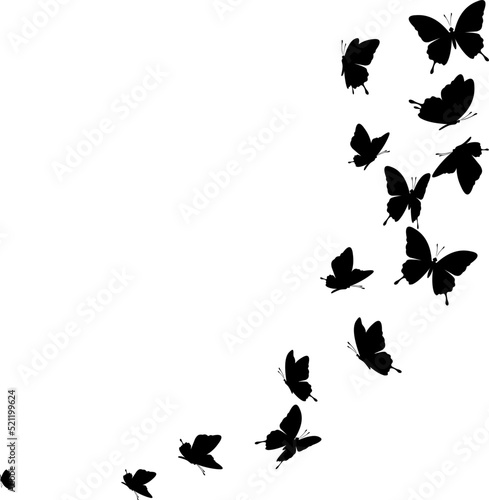 Flying butterflies. Vector decoration element.