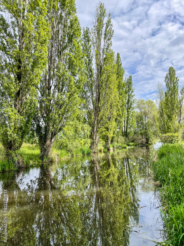 Obraz premium Union Bay Natural Area