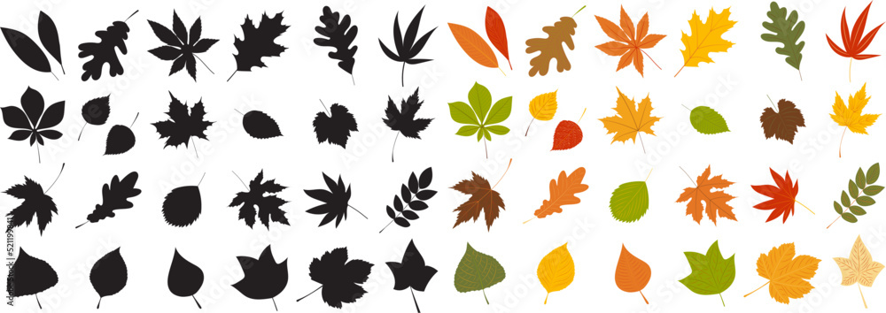 silhouette leaves set autumn on white background isolated, vector - obrazy, fototapety, plakaty 