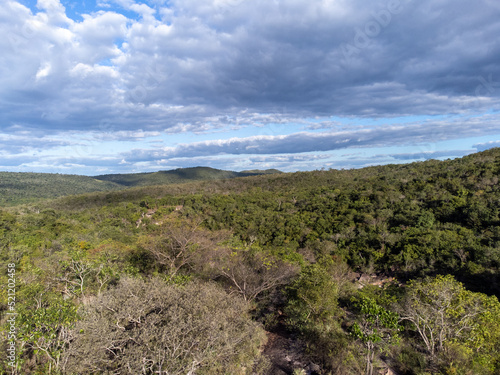 plateau in forest region