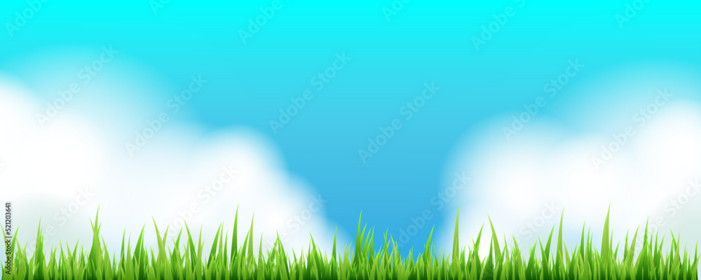 Summer panoramic landscape. Vector horizontal background with sky, clouds and grass.