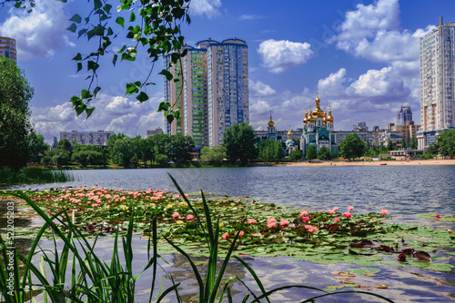 Multicolored beautiful lilies bloom in the city pond of Kyiv, Ukraine photo