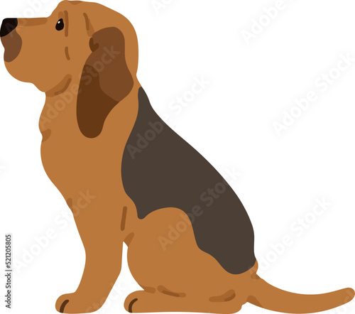 Simple and adorable Bloodhound dog illustration Sitting in side view flat colored