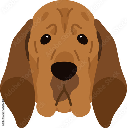 Simple and adorable Bloodhound dog illustration front head flat colored