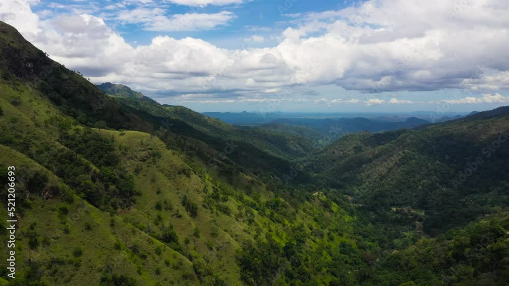 Aerial view of Fresh green foliage, tropical plants and trees covers mountains and ravine. Ella Rock, Sri Lanka. Aerial view of Fresh green foliage, tropical plants and trees covers mountains and ravine. Ella Rock, Sri Lanka.