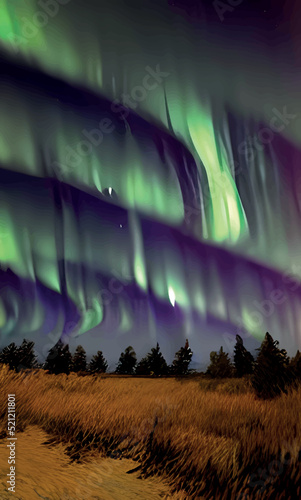 Glowing northern lights above the meadow with pine trees.