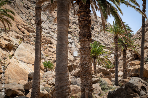 Barranco de las Penitas mit Palmen und Ermita de la Pena auf Fuerteventura photo