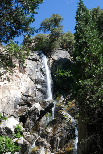 Source d eau dans le parc national des S  quoia