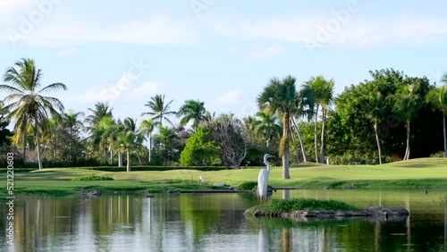 White heron flies away from a calm lake surface with reflections of sky on it and palm trees around. Beautiful scenery photo