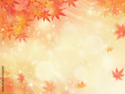 キラキラ輝く美しい紅葉の葉のオシャレなベクターの光の差し込むピンボケの背景素材フレーム