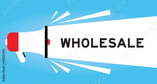 Color megaphone icon with word wholesale in white banner on blue background