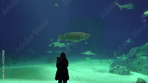 Oceanarium. A woman looks at a large aquarium in which fish swim.