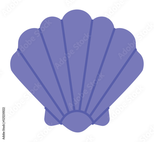 purple conch shell