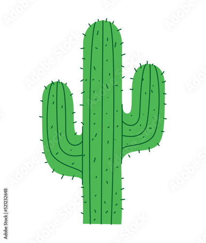 green cactus design