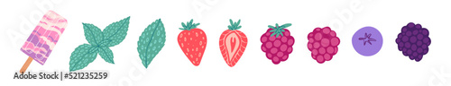 Summer berry set vector illustration photo