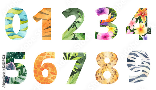 Photography Watercolor Tropical numbers with flowers and leaves