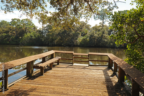 Dock at Oscar Scherer State Park, Florida photo