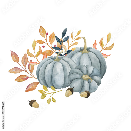 hand drawing autumn composition with three grey pumpkin, yellow autumn leaves and acorns, botanikal illustration isolated on white background for design