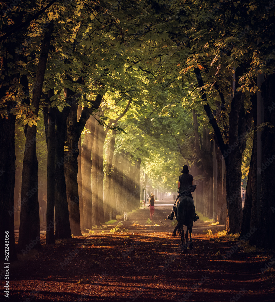 Background Riding Park riding a horse in the park Stock-Foto | Adobe Stock