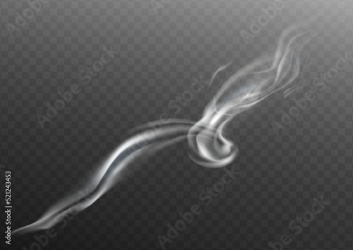 Vector isolated realistic cigarette smoke waves