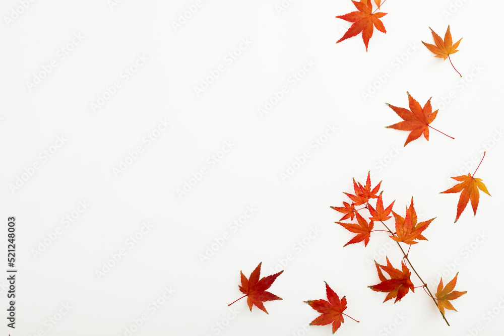 Autumnal concept with fall leaves on white background. Flat lay, top view. Thanksgiving day Autumnal concept with fall leaves on white background. Flat lay, top view. Thanksgiving day