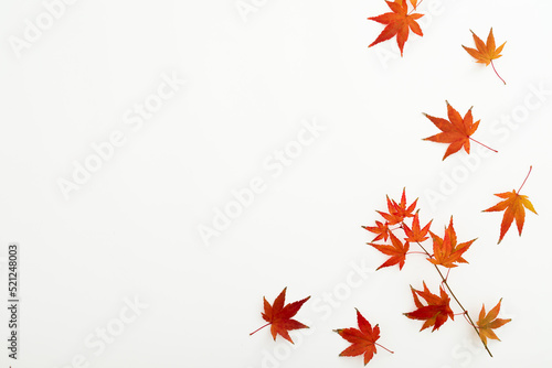 Autumnal concept with fall leaves on white background. Flat lay, top view. Thanksgiving day