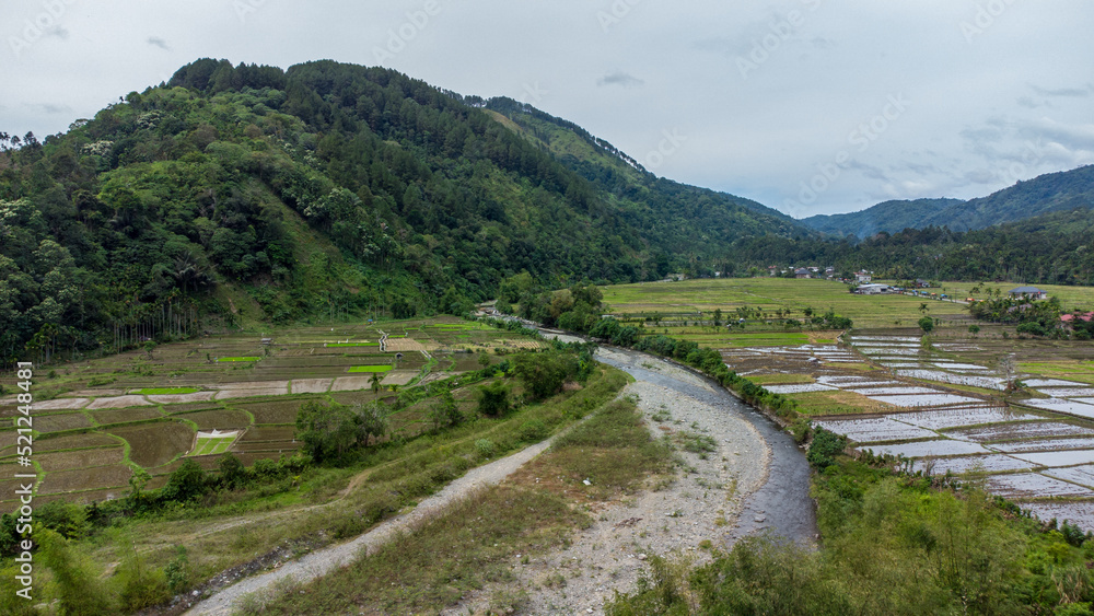 Aerial view of tropical rice fields under the equator, Aceh, Indonesia.