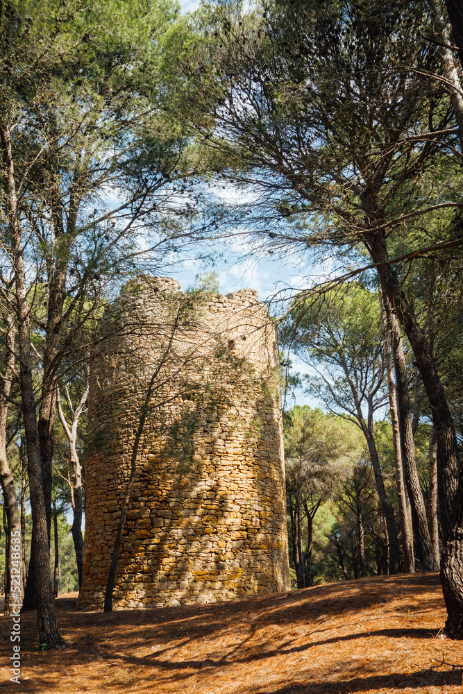 une vieille tour en pierre dans une forêt. Une vieille tour médiévale dans une forêt de la Costa Brava en Espagne.