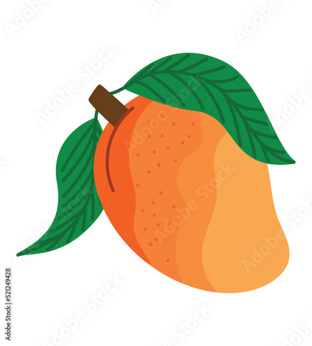mango fruit design