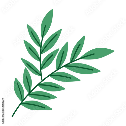 olive branch design