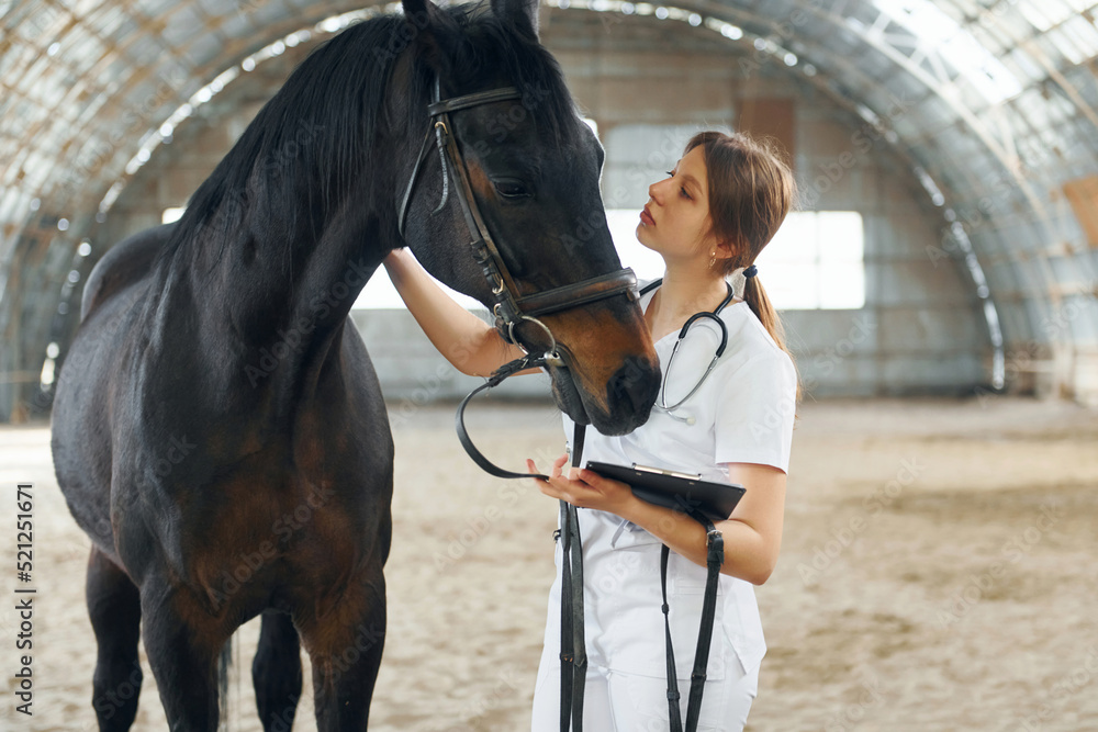 Obraz premium Holding notepad with results of check up. Female doctor in white coat is with horse on a stable