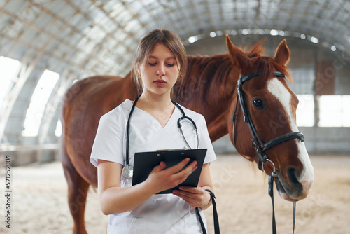 Holding notepad in hands. Female doctor in white coat is with horse on a stable