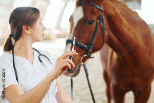 Syringe with vaccine in hand. Female doctor in white coat is with horse on a stable