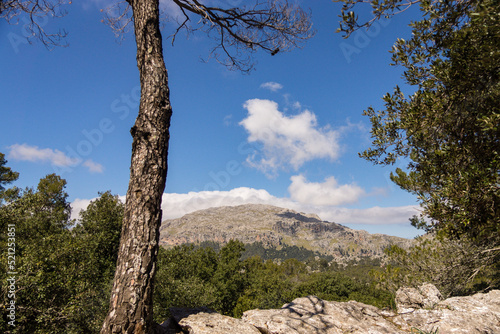Puig Caragoler de Femenia,  sierra de Tramuntana, Mallorca, balearic islands, spain, europe