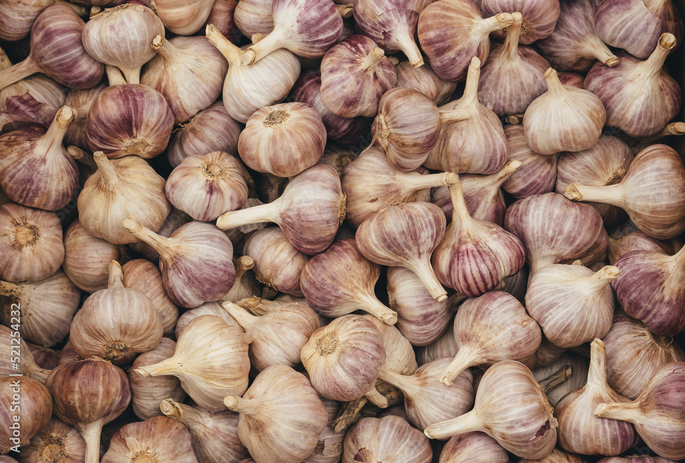 Top view of many garlic bulbs. Garlic background. Top view of many garlic bulbs. Garlic background.