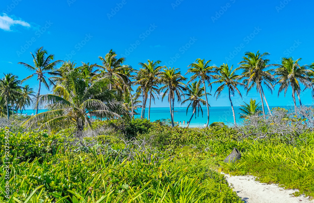 Beautiful tropical natural beach and forest panorama Contoy island Mexico.