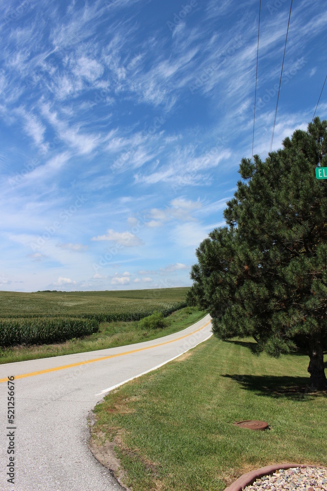 Obraz premium Cornfields and Farming