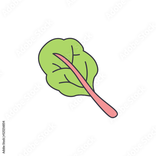 Chard vegetable icon in color, isolated on white background 