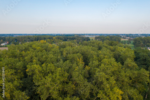 Aerial view of a forest in Lebbeke, Belgium