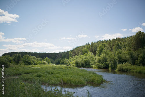 Fototapeta Naklejka Na Ścianę i Meble -  River in the forest, natural background