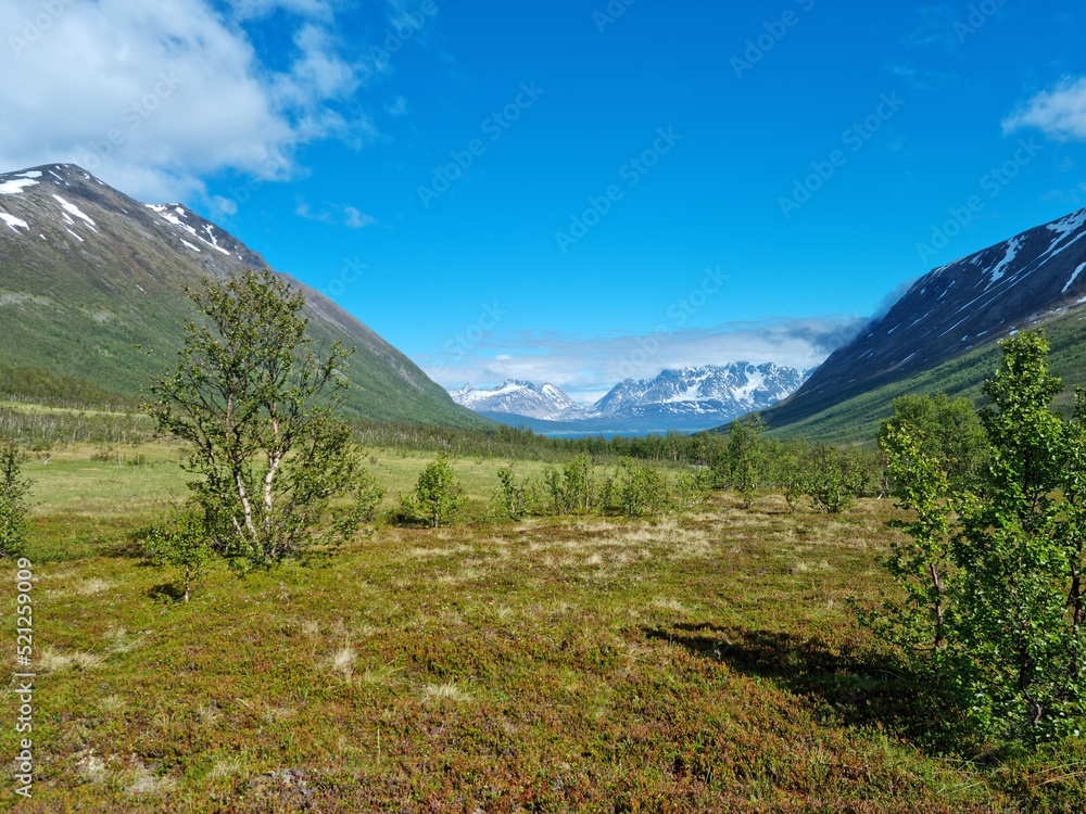 Obraz premium deep summer valley with snowy mountain peaks in northern Norway