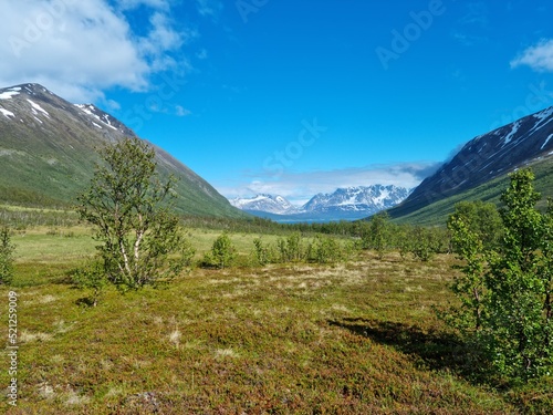deep summer valley with snowy mountain peaks in northern Norway