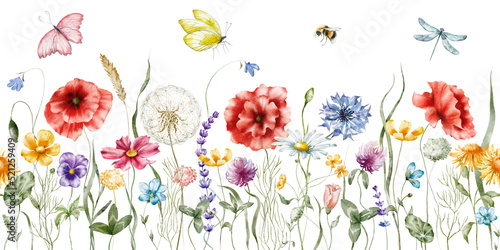 Wallpaper Mural Watercolor floral seamless border – Wildflowers: summer flower, blossom, poppies, chamomile, dandelions, cornflowers, lavender, violet, bluebell, clover, buttercup, butterfly. Torontodigital.ca
