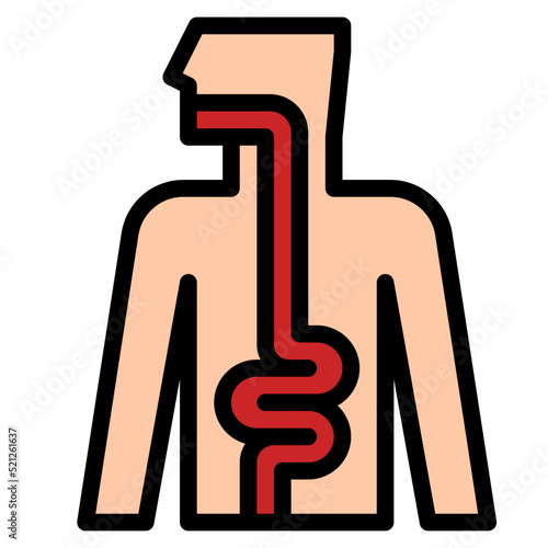 intestine