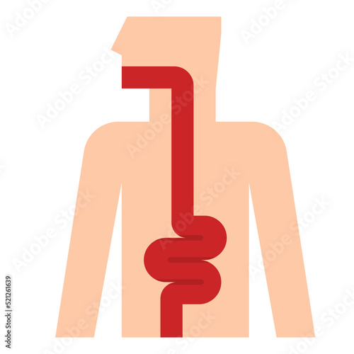 intestine